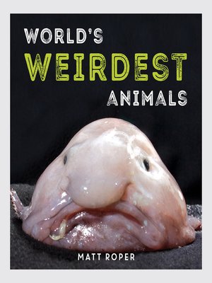 cover image of World's Weirdest Animals